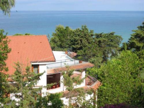 Hotel Paradiso 4*