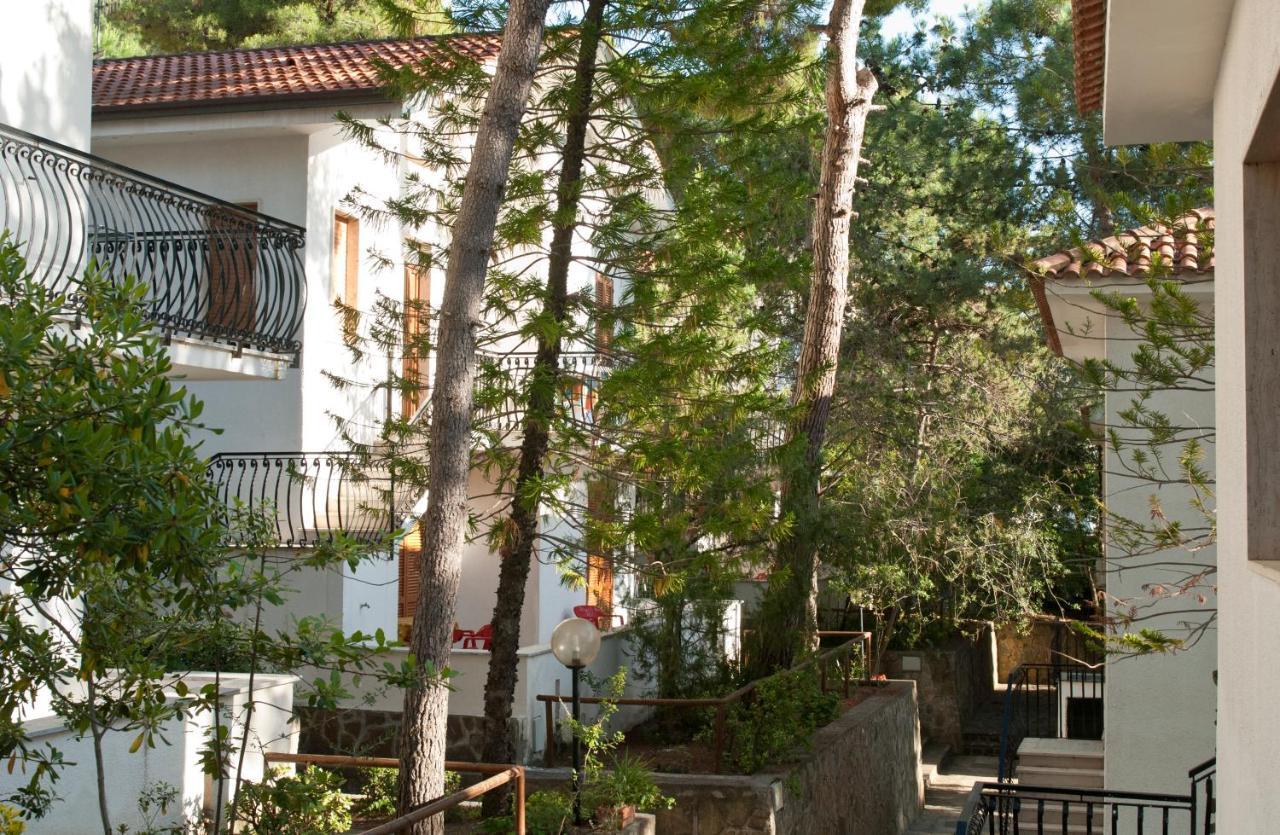 Paradiso Hotel 4*